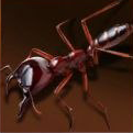 Driver Ant