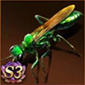 Emerald Jewel Ant