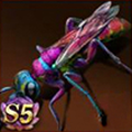 Rainbow Chaser