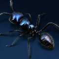 Bright Blue Ant