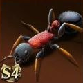 Bison Ant