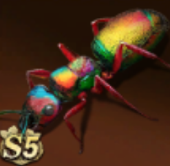 Rainbow Scarlet